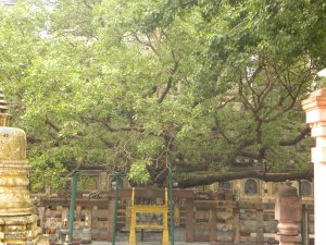 dscn0442
