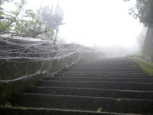 DSCN0832