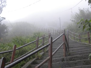 DSCN0834