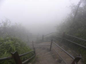 DSCN0852