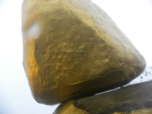 DSCN2002