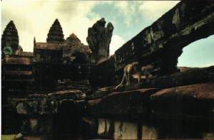 Macaque stalking the ruins of Angkor